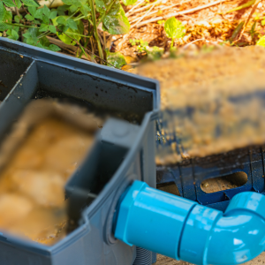 Why should I use enzyme cleaners in my grease trap?